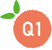 Q1